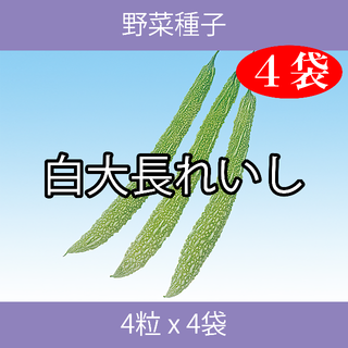 野菜種子 EAH 白大長れいし 4粒 x 4袋(野菜)