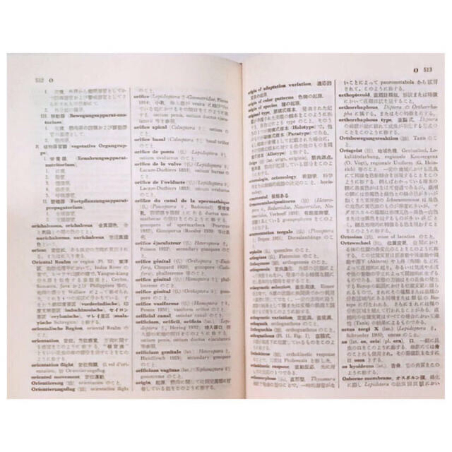 辞書【昆虫学辞典 素木得一編 北隆館 昭和37年初版 昭和57年出版物 】