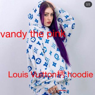 vandy the pink Louis Vuitton柄 プルオーバーパーカー(パーカー)