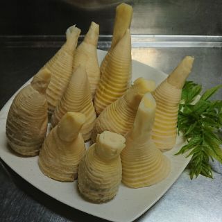 ★★★水煮タケノコ       1000g + 訳ありおまけ(野菜)