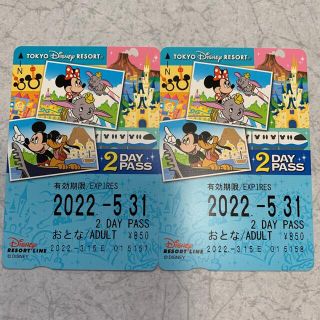 ディズニー(Disney)のディズニーリゾートライン　2day 大人2人分(遊園地/テーマパーク)