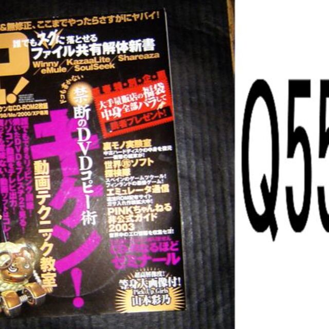 その他 IP/Q55