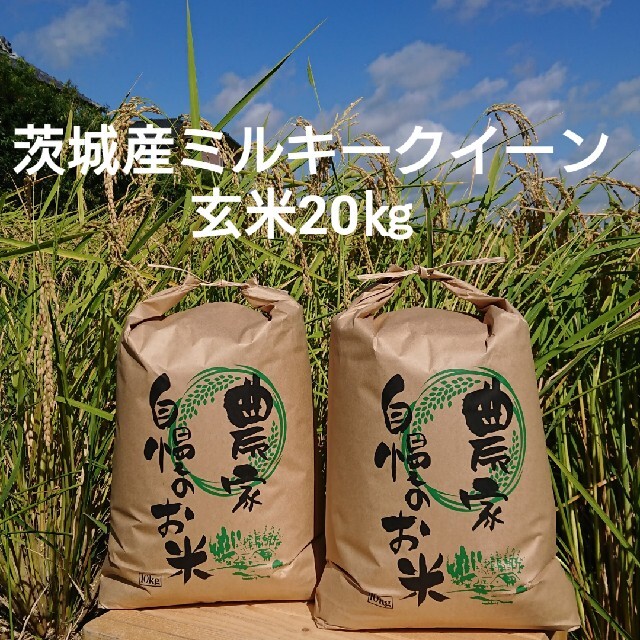 食品茨城令和3年産ミルキークイーン玄米20㎏