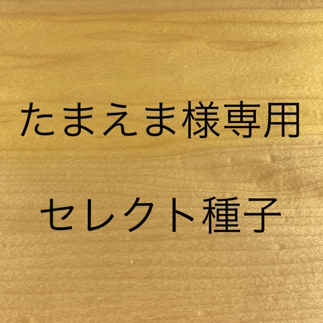 たまえま様専用　セレクト種子　2袋 食品/飲料/酒の食品(野菜)の商品写真