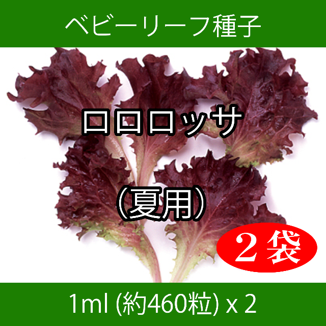 ベビーリーフ種子 B-11 ロロロッサ（夏用） 1ml 約460粒 x 2袋 食品/飲料/酒の食品(野菜)の商品写真