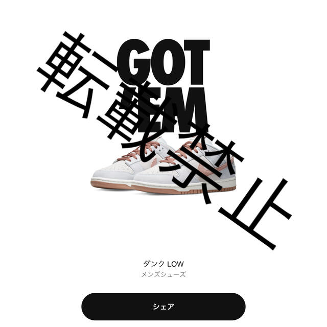 NIKE(ナイキ)のNike Dunk Low Fossil Roseナイキ ダンク ロー  メンズの靴/シューズ(スニーカー)の商品写真