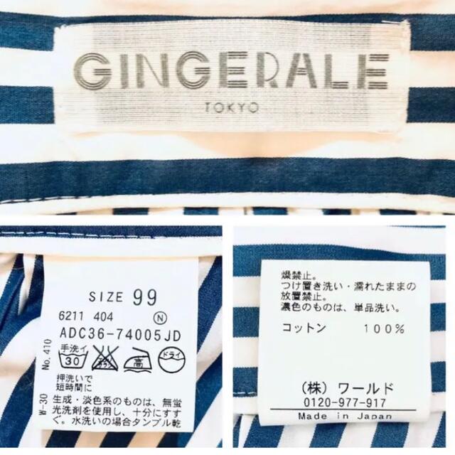 GINGER ALE(ジンジャーエール)の滝沢眞規子　very掲載 フレアースカート　ストライプ　膝丈　春夏　ジンジャー レディースのスカート(ひざ丈スカート)の商品写真