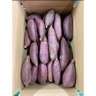 パンシラ様専用　サツマイモ　シルクスイート(野菜)