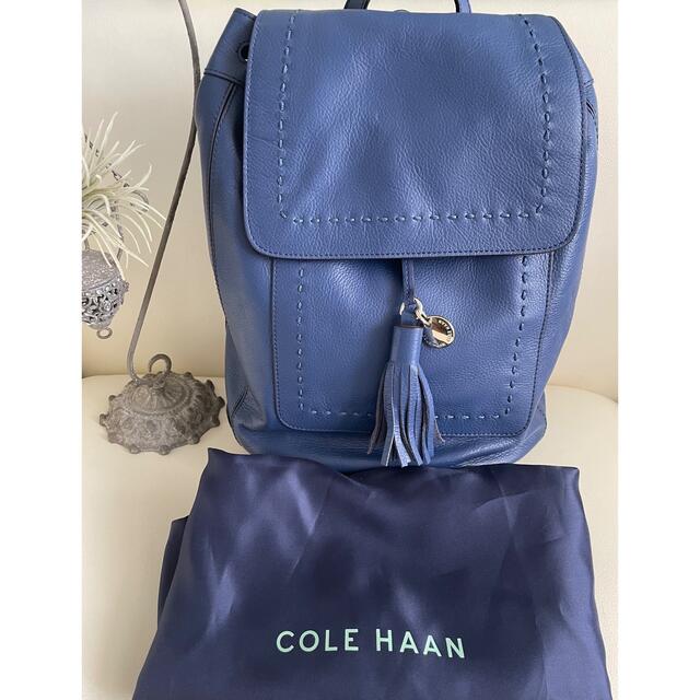 Cole Haan - 【美品未使用】COLE HAAN リュック レザー ブルー ...