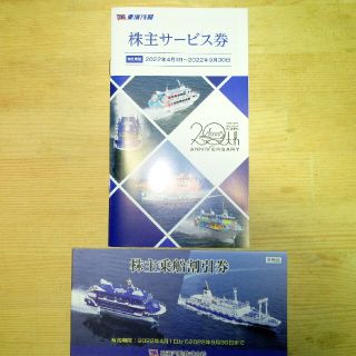 東海汽船株主乗船割引券　一冊（10枚）(その他)