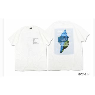 ステューシー(STUSSY)のストゥーシー　STUSSY Tシャツ(Tシャツ/カットソー(半袖/袖なし))