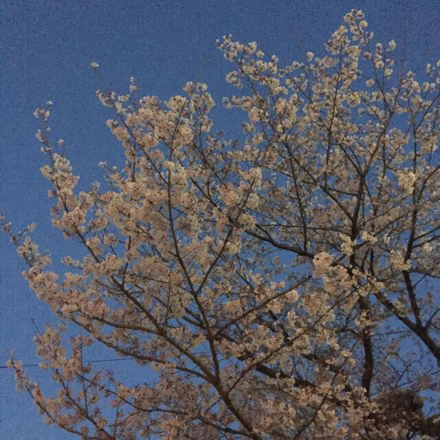 R様＊専用♡