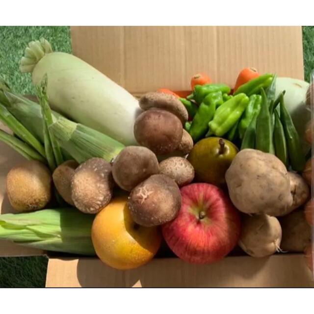★60サイズ★ 無農薬新鮮野菜果物セット 10種類セット 食品/飲料/酒の食品(野菜)の商品写真