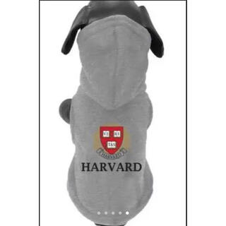ハーヴァード(HARVARD)のハーバード大学公式　小型犬用服(犬)