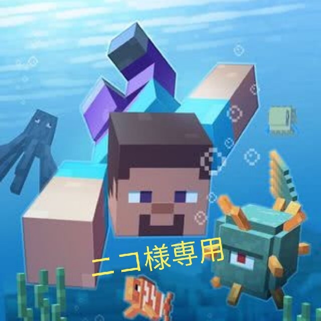 ニコ様オーダー専用 ceospoftalmologia.com