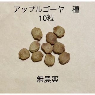 アップルゴーヤ　種　10粒　2021年採取　無農薬(野菜)