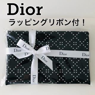 クリスチャンディオール(Christian Dior)の【新品】Dior ディオール ポーチ クラッチ バッグ  正規品 外箱なし(ポーチ)