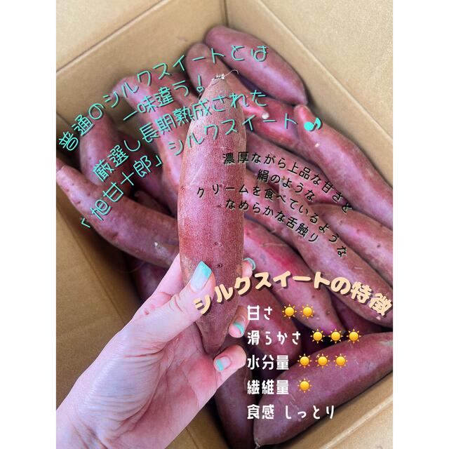 茨城県産 旭甘十郎シルクスイートSサイズ 1kg〜1.3kg 長期熟成さつまいも 食品/飲料/酒の食品(野菜)の商品写真