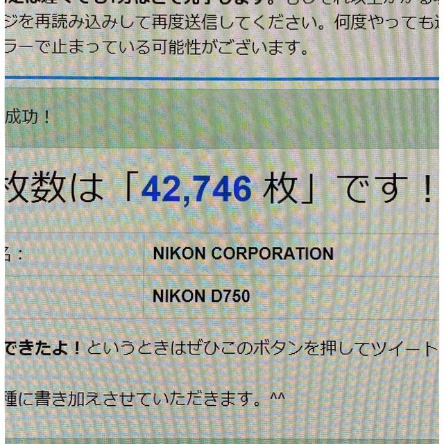 【付属品完備】Nikon D750 ボディ 本体