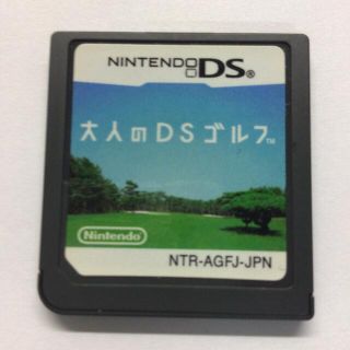 DS ソフト (携帯用ゲームソフト)