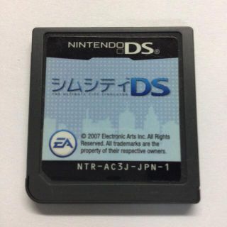 DS ソフト (携帯用ゲームソフト)