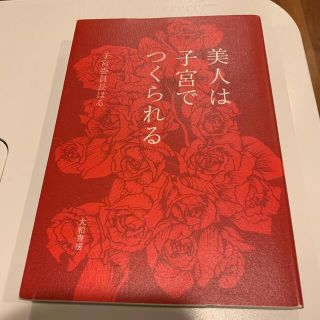 美人は子宮でつくられる(文学/小説)