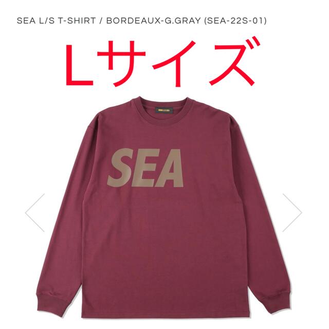 トップスwind and sea ロンT