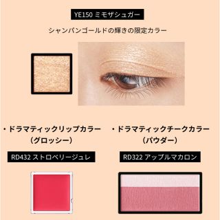 マキアージュ(MAQuillAGE)のMaquillage ドラマティックパレット ケース以外(アイシャドウ)