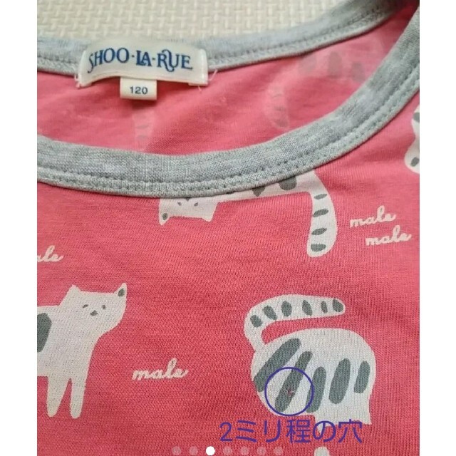 SHOO・LA・RUE(シューラルー)の半袖 Tシャツ 猫 ねこ 小さめ120㎝ 記名なし キッズ/ベビー/マタニティのキッズ服男の子用(90cm~)(Tシャツ/カットソー)の商品写真