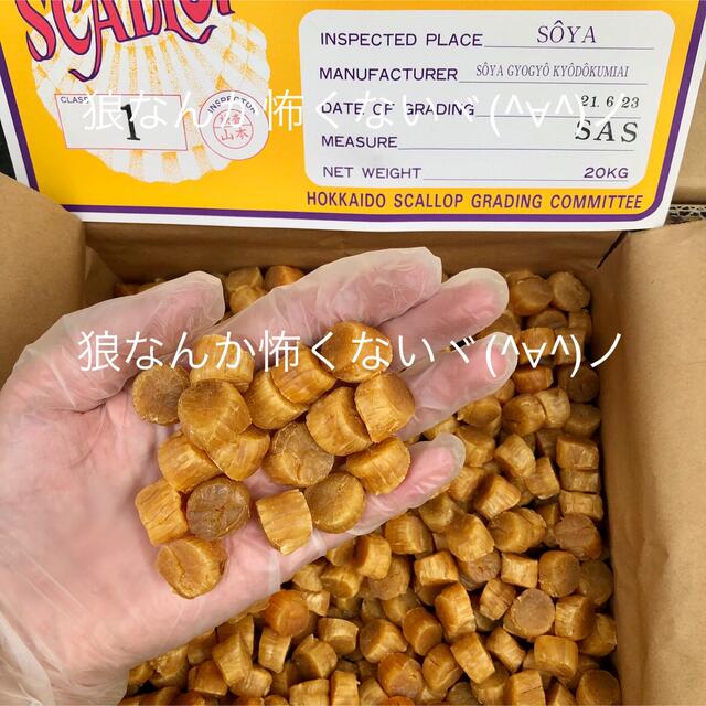 北海道産乾燥帆立貝柱 ホタテ貝柱 SAS 1等級 1kg（100g×10）貝柱