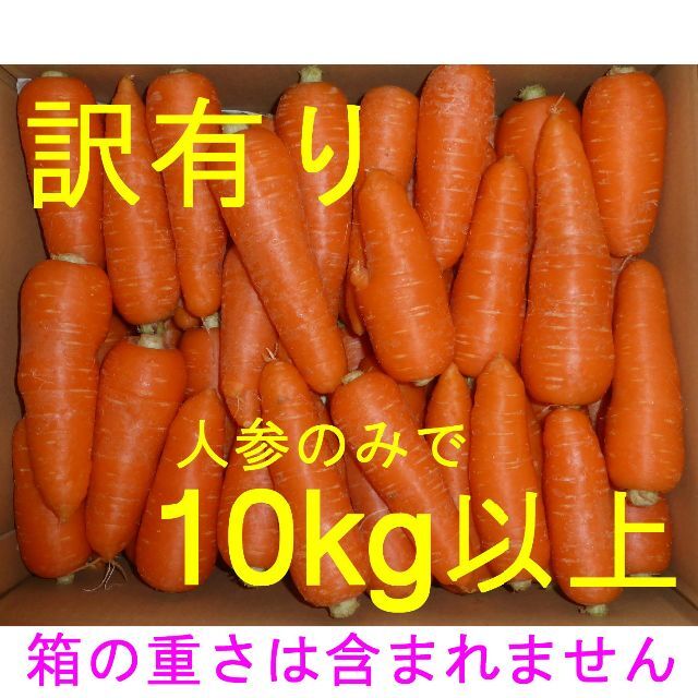 徳島産／ハウス栽培　人参「彩誉」　訳あり品（曲がり・角など）　10kg以上 食品/飲料/酒の食品(野菜)の商品写真