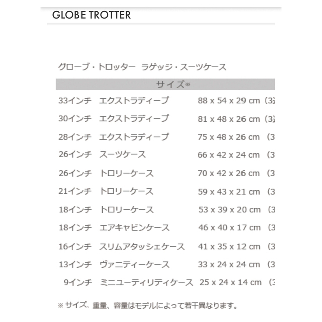 【ハワイ正規店購入】28インチ　グローブトロッター