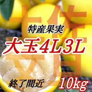 土佐文旦4L3L10kg(フルーツ)