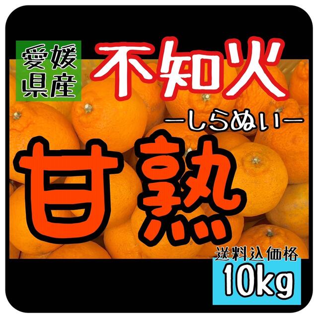 おみかん畑's　ミッチー　○【愛媛えひめ産】しらぬひフルーツ果物くだもの果実みかん柑橘しらぬい《不知火》の通販　の　by　shop｜ラクマ