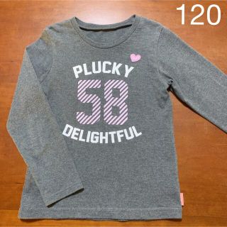 ベルメゾン(ベルメゾン)のベルメゾン☆千趣会　女の子　トップス　長袖　カットソー　ロンT    120(Tシャツ/カットソー)