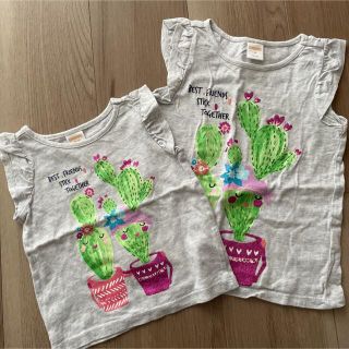 ジンボリー(GYMBOREE)のＴシャツセット　姉妹お揃い　サボテンイラスト(Tシャツ/カットソー)