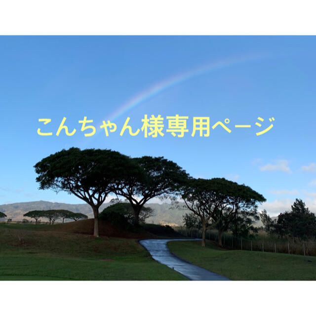 こんちゃん様専用ページ ハンドメイドのフラワー/ガーデン(その他)の商品写真