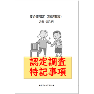 認定調査 特記事項 文例・記入例　(その他)