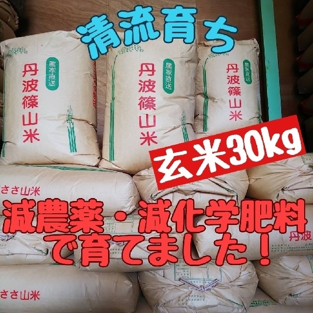 【古米】令和２年産 あきたこまち 30kg 玄米 ＜秋田県産 農家直送！＞