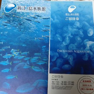 新江ノ島水族館　えのすい　入館券　1枚(水族館)