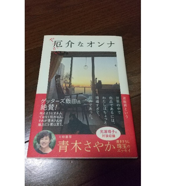 厄介なオンナ エンタメ/ホビーの本(文学/小説)の商品写真