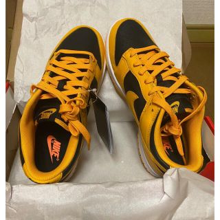 ナイキ(NIKE)の【5/1まで】ダンク　LOW Championship Goldenrod (スニーカー)