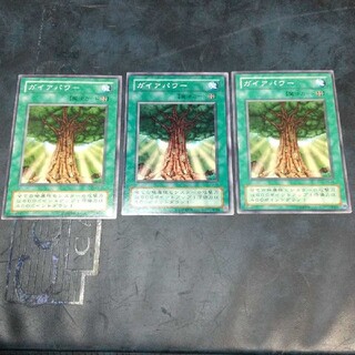遊戯王 ガイアパワー 3枚(シングルカード)