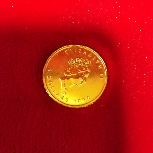 最新入荷】 もか様専用 K24オーストラリアカンガルーメイプル金貨 金貨1/10oz 2枚 ネックレス - www.fotofilmmedya.com
