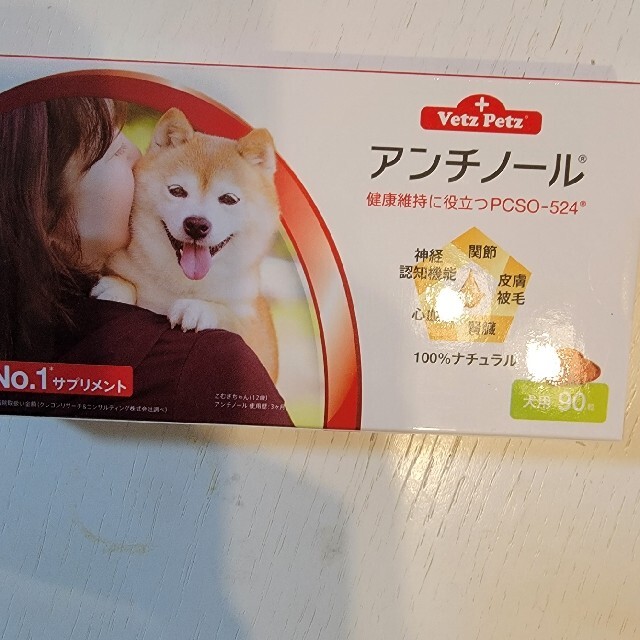 アンチノール　犬用　90粒　1箱