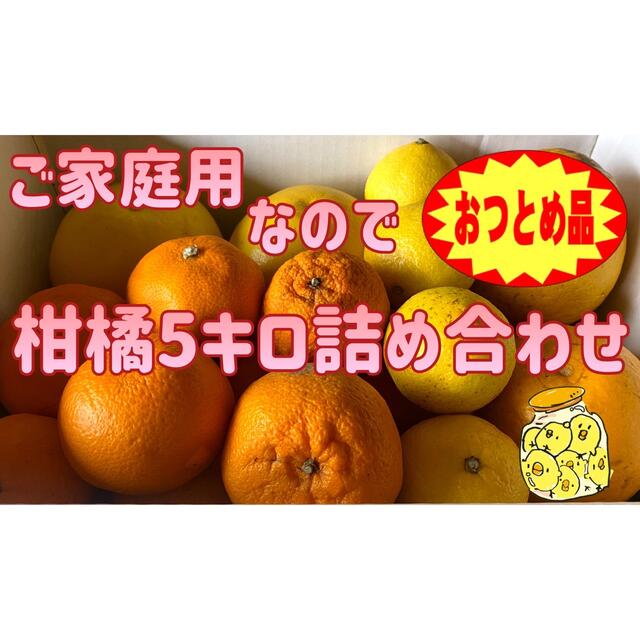 ▲本州、四国、九州のみ発送可▲『おつとめ品-愛媛産-柑橘5キロ詰め合わせ』 食品/飲料/酒の食品(フルーツ)の商品写真