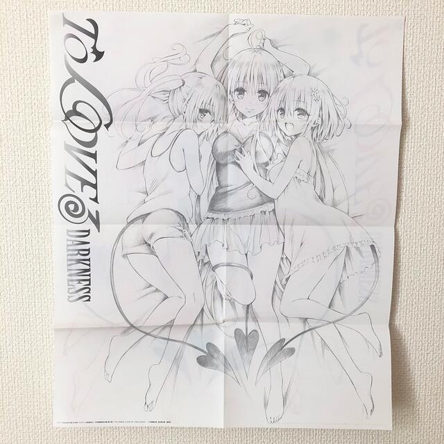 To LOVEる とらぶるダークネス　ポスター&B5クリアファイル エンタメ/ホビーのアニメグッズ(ポスター)の商品写真