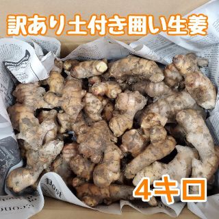 訳あり土付き囲い生姜4キロ(野菜)