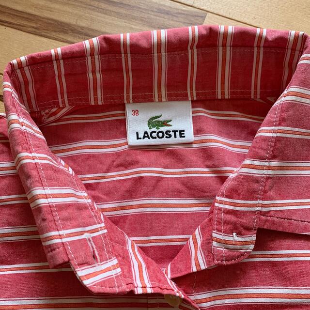 LACOSTE(ラコステ)のLACOSTE ラコステ　半袖 シャツ ボーダー レディースのトップス(シャツ/ブラウス(半袖/袖なし))の商品写真