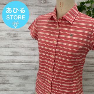 ラコステ(LACOSTE)のLACOSTE ラコステ　半袖 シャツ ボーダー(シャツ/ブラウス(半袖/袖なし))